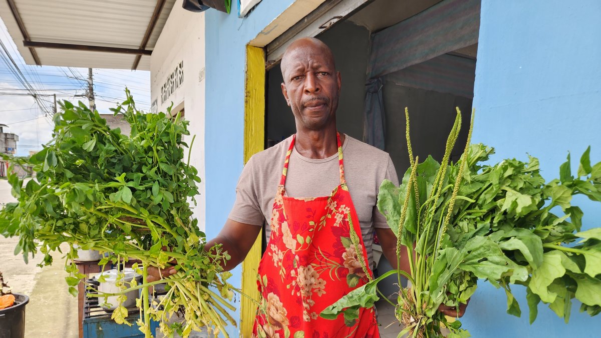 Trabajo alterno. Marco Angulo aparece con varias de las plantas medicinales al pie de su local de comida, el cual lo atiende de manera opcional a su actividad vinculada con los vegetales.