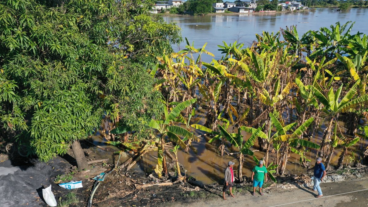 El sector agrícola no está preparado para un fenómeno de El Niño de gran magnitud.