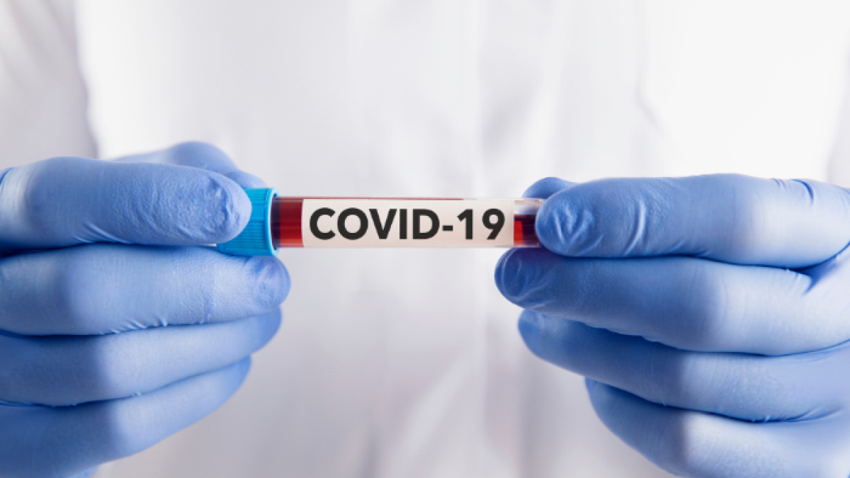 Referencial. covid-19