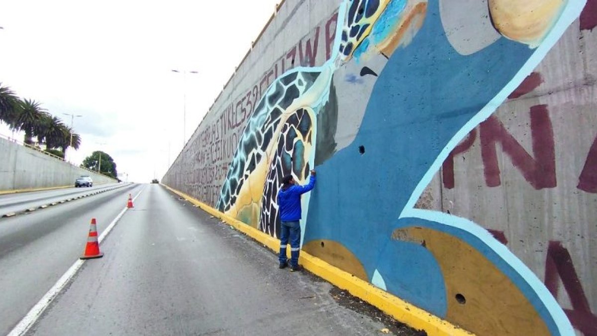El Municipio busca restaurar la infraestructura con murales de artistas.
