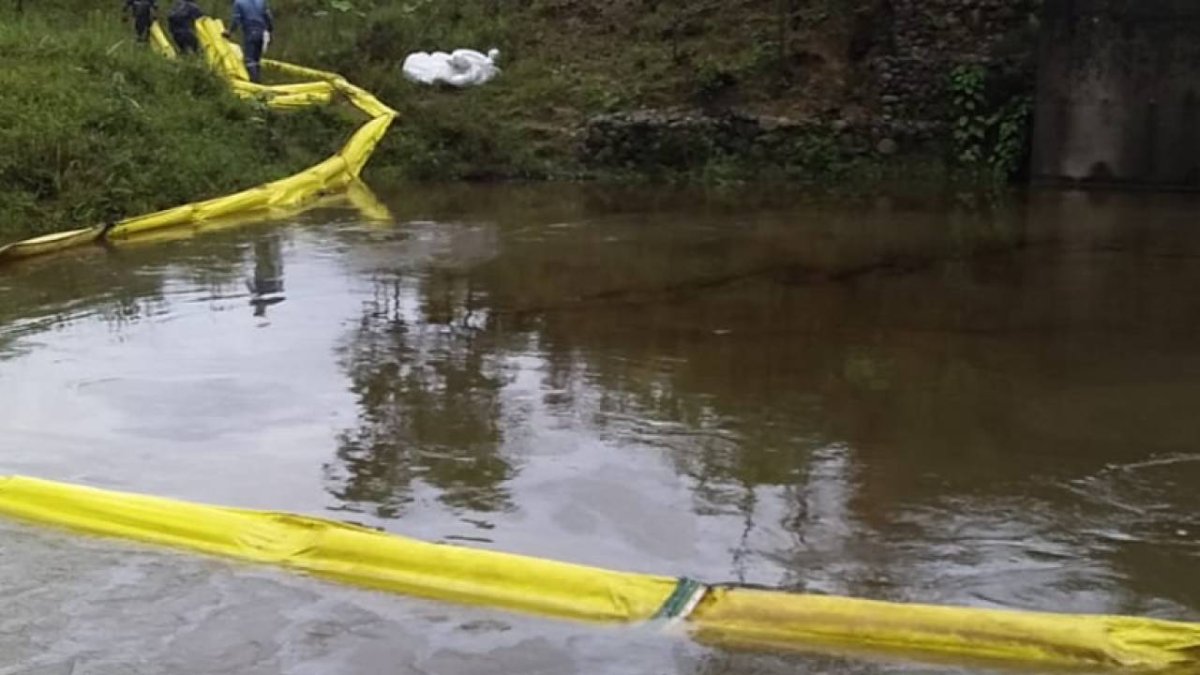 Acciones. En la limpieza han intervenido varias instituciones.