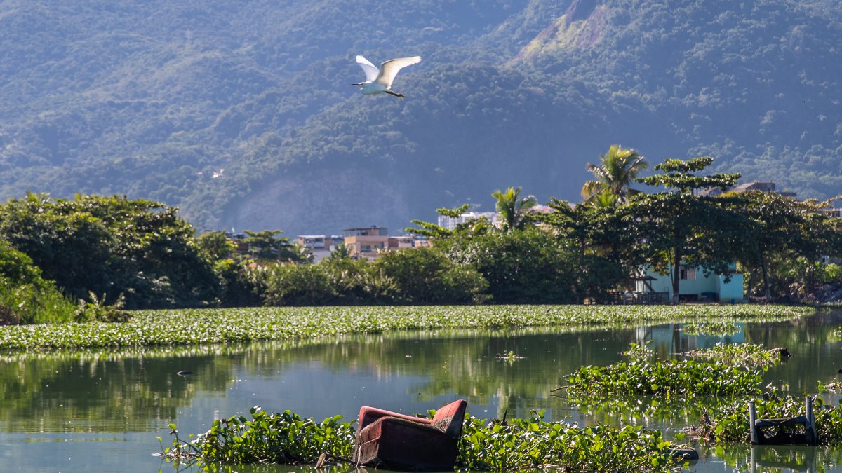 Un sofá abandonado cerca a una orilla de la Laguna de Camorim, el 16 de mayo de 2023, en Jacarépaguá Río de Janeiro (Brasil).