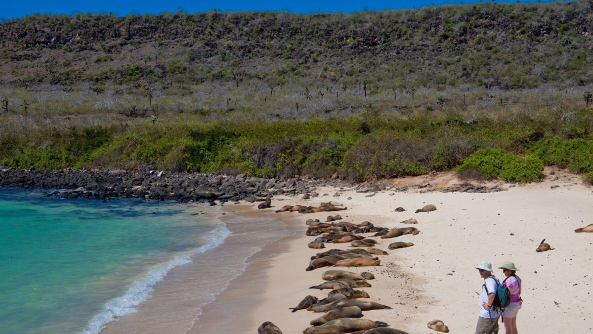 El objetivo del proyecto es preservar a las Islas Galápagos.
