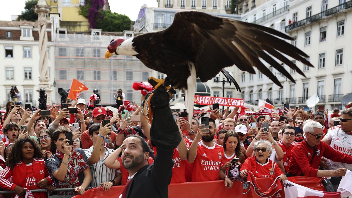 El águila Vitoria, la mascota del equipo se unió a los festejos con los jugadores y la afición.