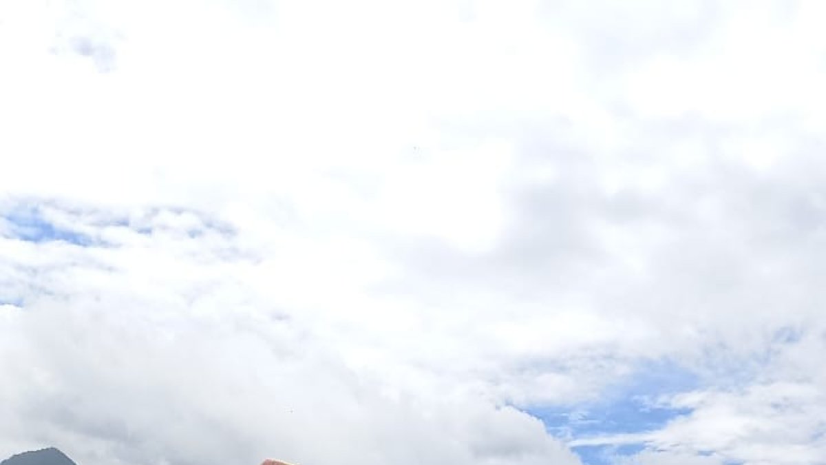 Daños. Un bus interprovincial se volcó y dejó siete afectados.