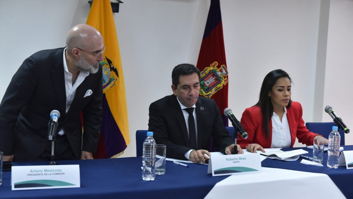 Anuncio. El perito Roberto Meza durante la presentación del diagnóstico sobre la información en el caso Gabela.