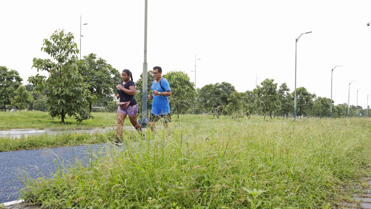 Los ediles aseguran que un pedido similar se debe hacer con la isla Santay y el parque Forestal, que también están en situaciones deplorables, como lo ha venido publicando EXPRESO.