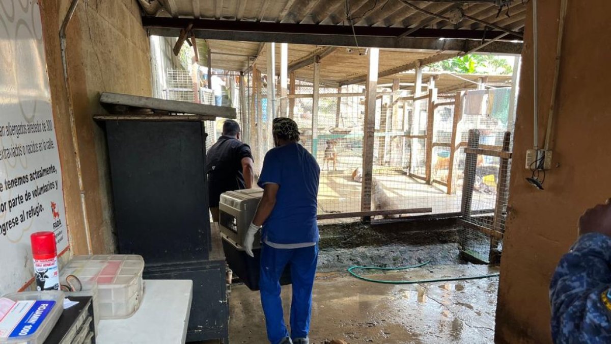 Hecho. La acción se dio la tarde del jueves 1 de junio.