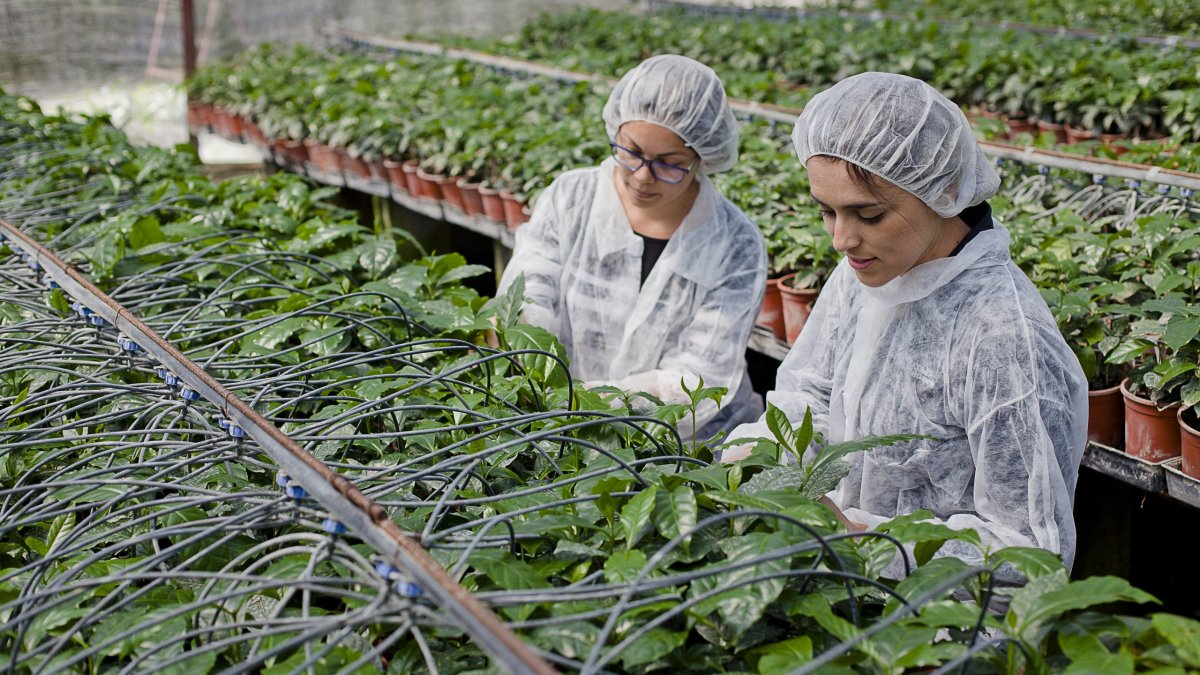 La digitalización y expansión del sector agro de América se encuentra en avance constante.
