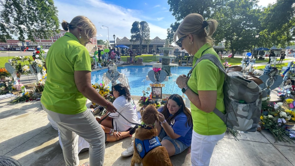 Terapia. Una joven acaricia un perro de consuelo, en un parque privado.