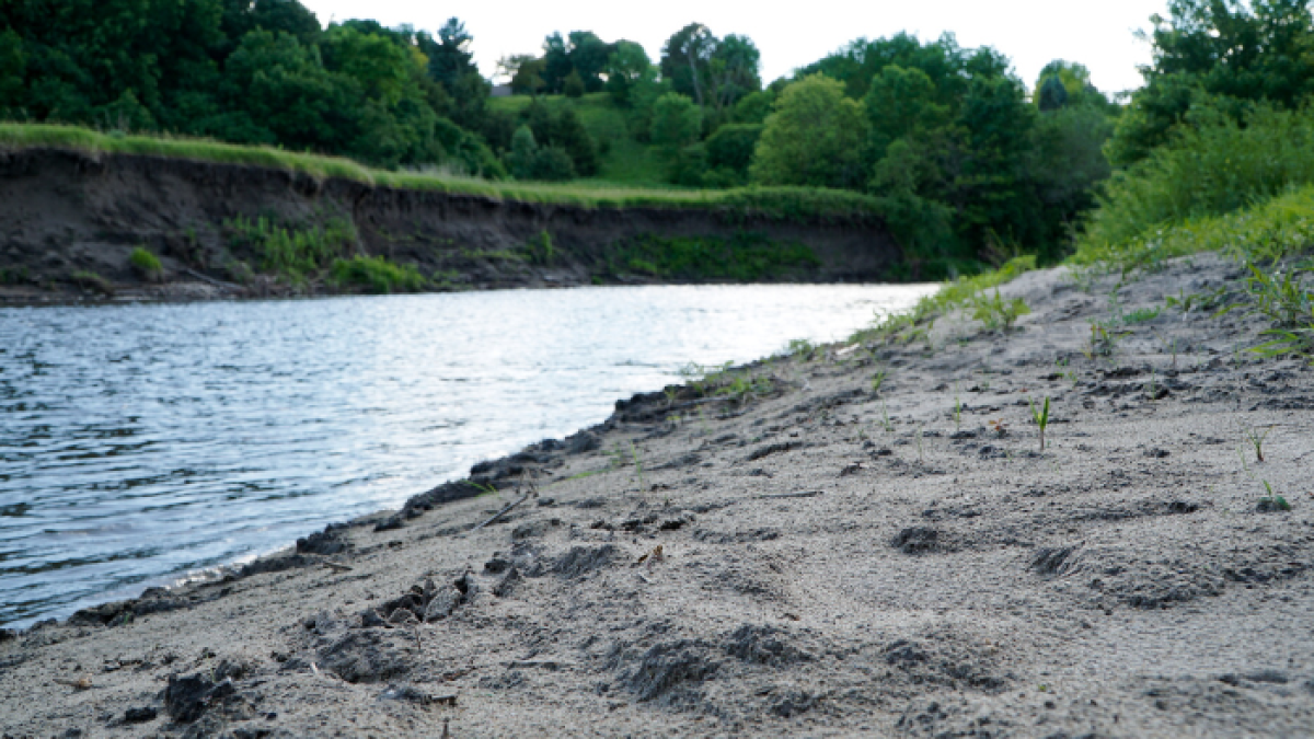 Referencial de orilla de río