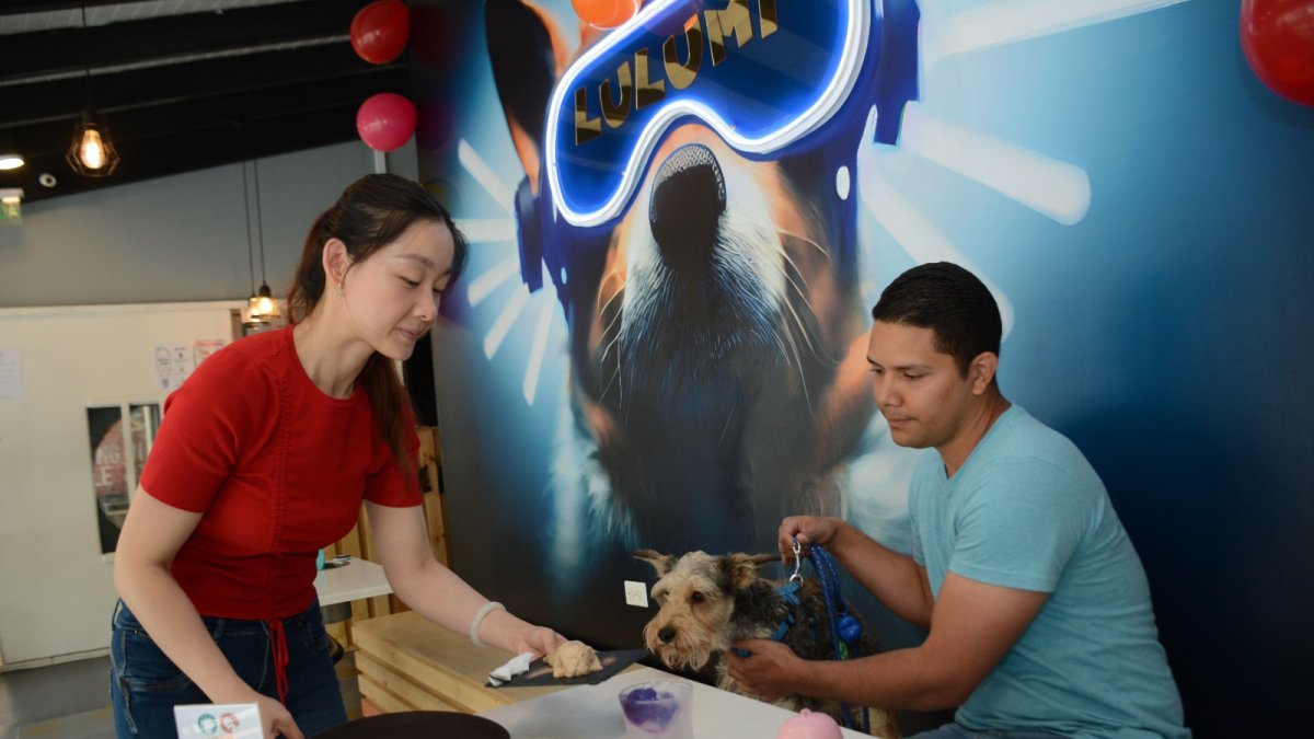 Local. Lulumi abrió sus puertas en el norte de Quito hace dos meses. En su local hay perros y gatos, y el cliente también puede llevar a sus mascotas.
