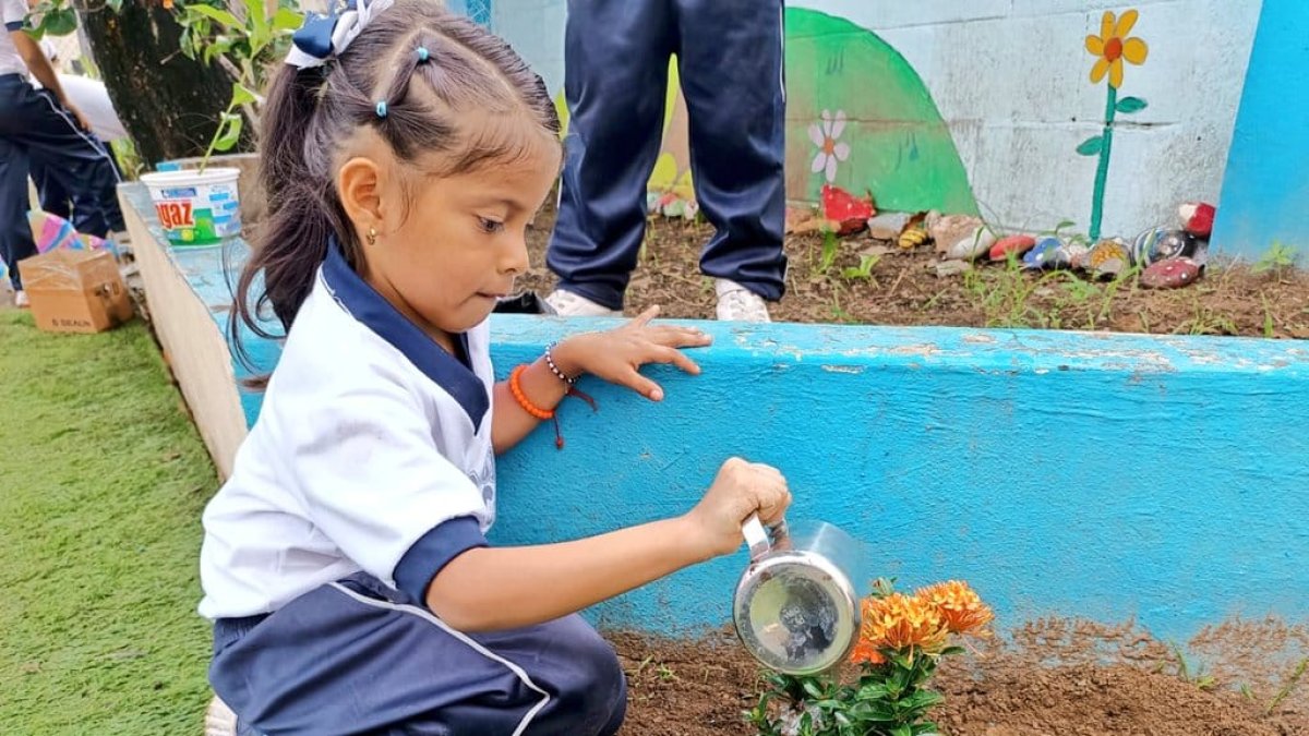 Los estudiantes sembraron plantas en sus colegios y se comprometieron a cuidarlas.