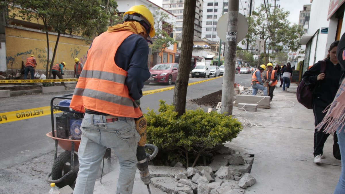 Remoción. Se busca dar más amplitud a los árboles del lugar.