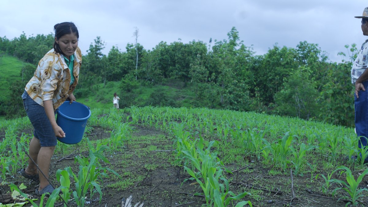 El nuevo precio regirá luego de elaborarse un acuerdo ministerial, previsto para la próxima semana.