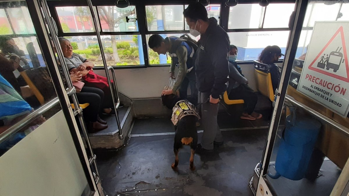 La brigada canina del trole ha ayudado en la seguridad de los pasajeros.
