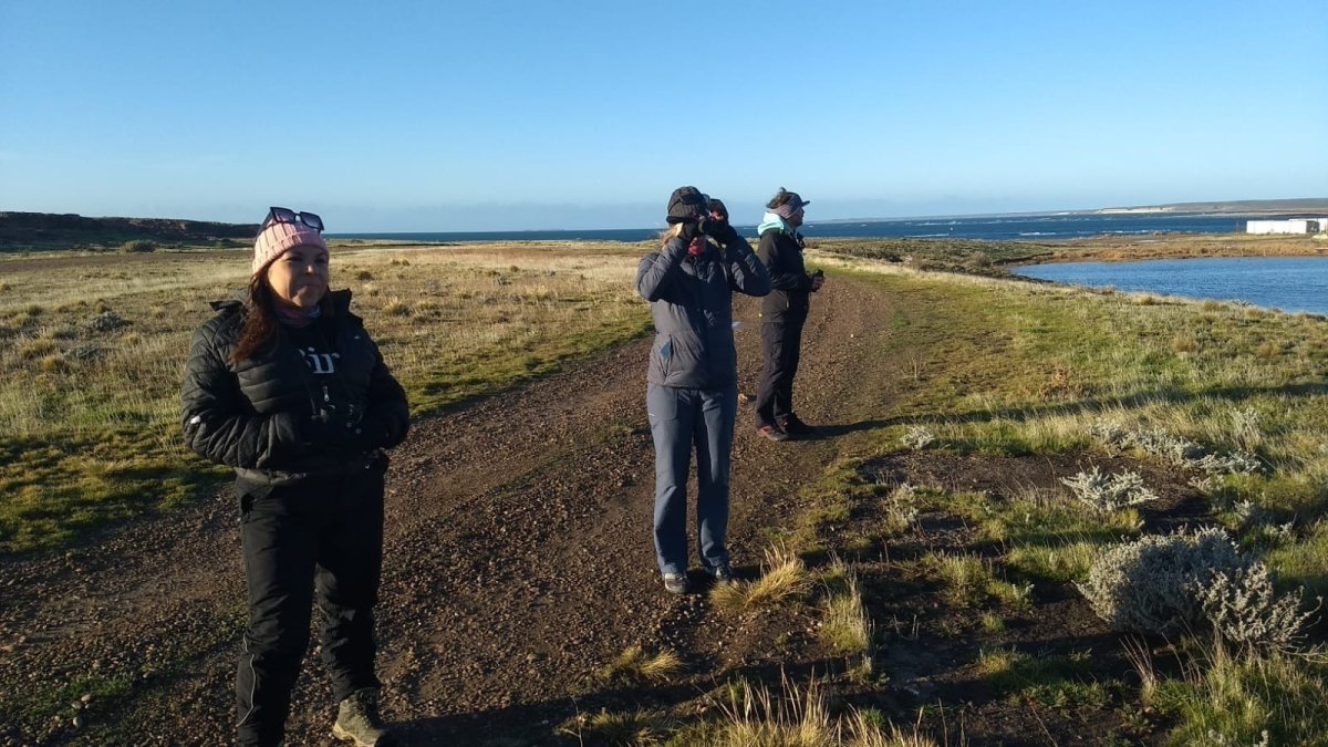 Biodiversidad. Cerca de la mitad de las especies de aves registradas en Argentina mora en la provincia de Misiones, en el extremo noreste del país.