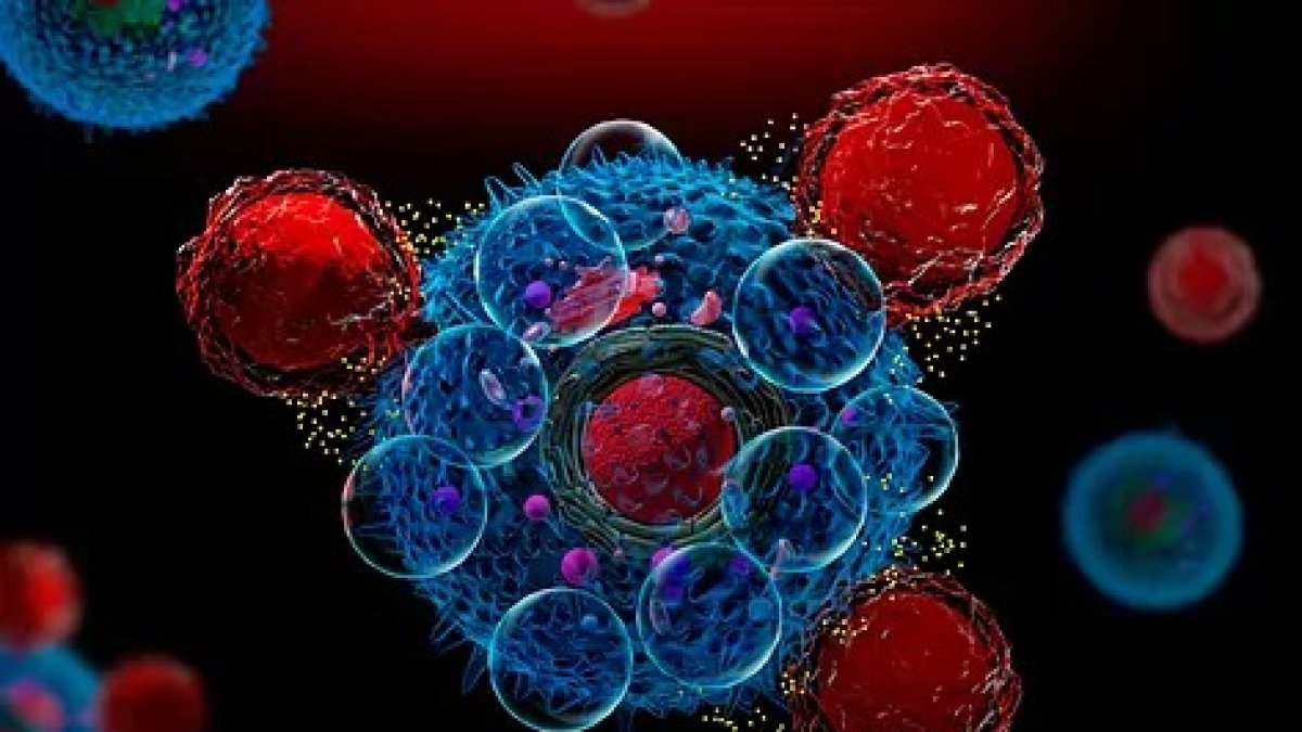 Ilustración 3D de células de CAR-T que atacan células cancerosas y liberan citoquinas.