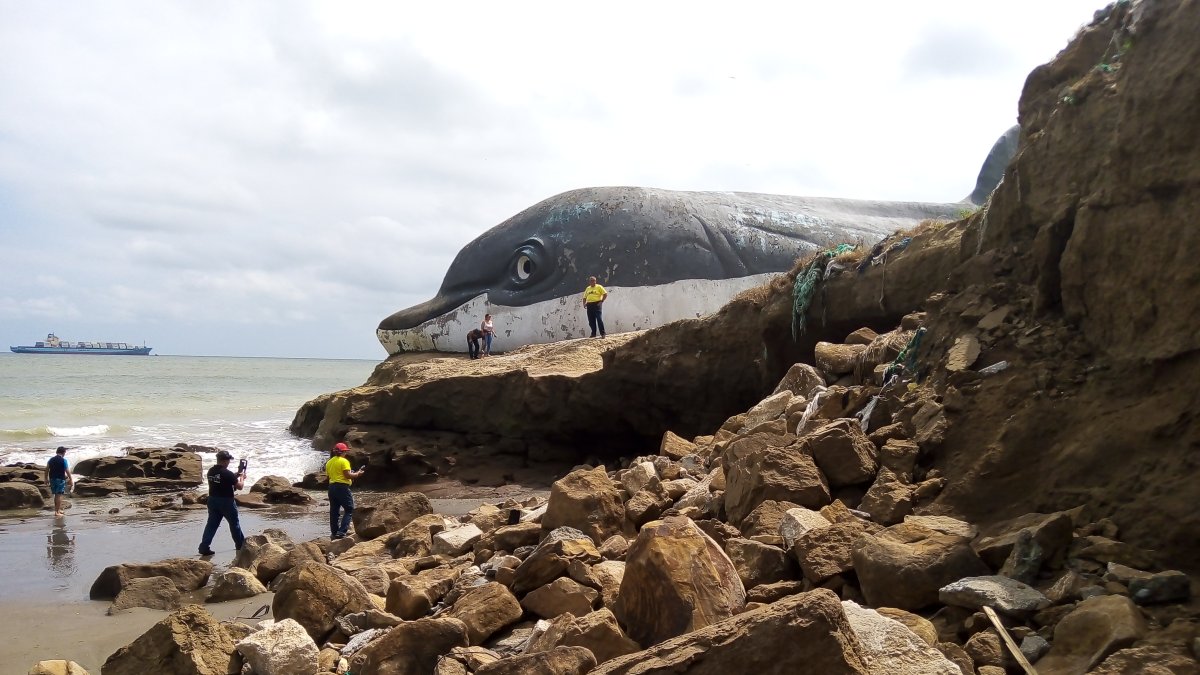 Las rocas. En Playa Delfín, que antes tenía espacio para caminar, ahora no hay más que rocas. Hay familias que ya no visitan el lugar.