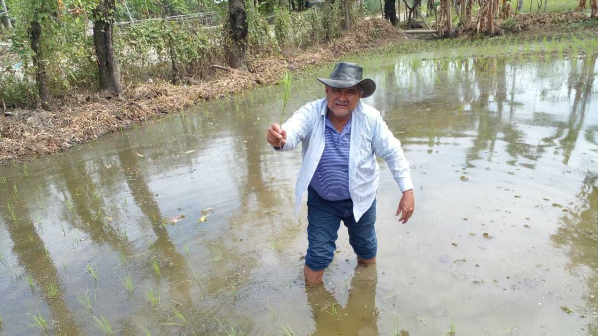 ¿Está Ecuador preparado para el fenómeno de El Niño? La urgencia de prevenir una nueva crisis