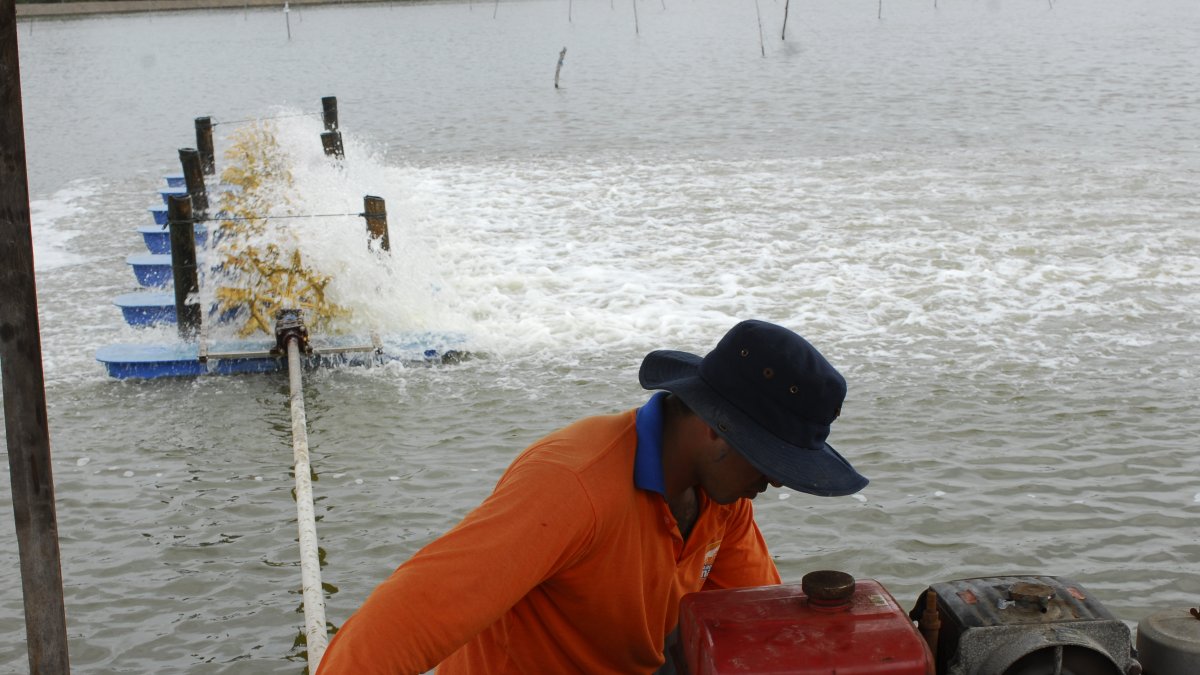 El sector está a la espera de que se apruebe un programa de electrificación.