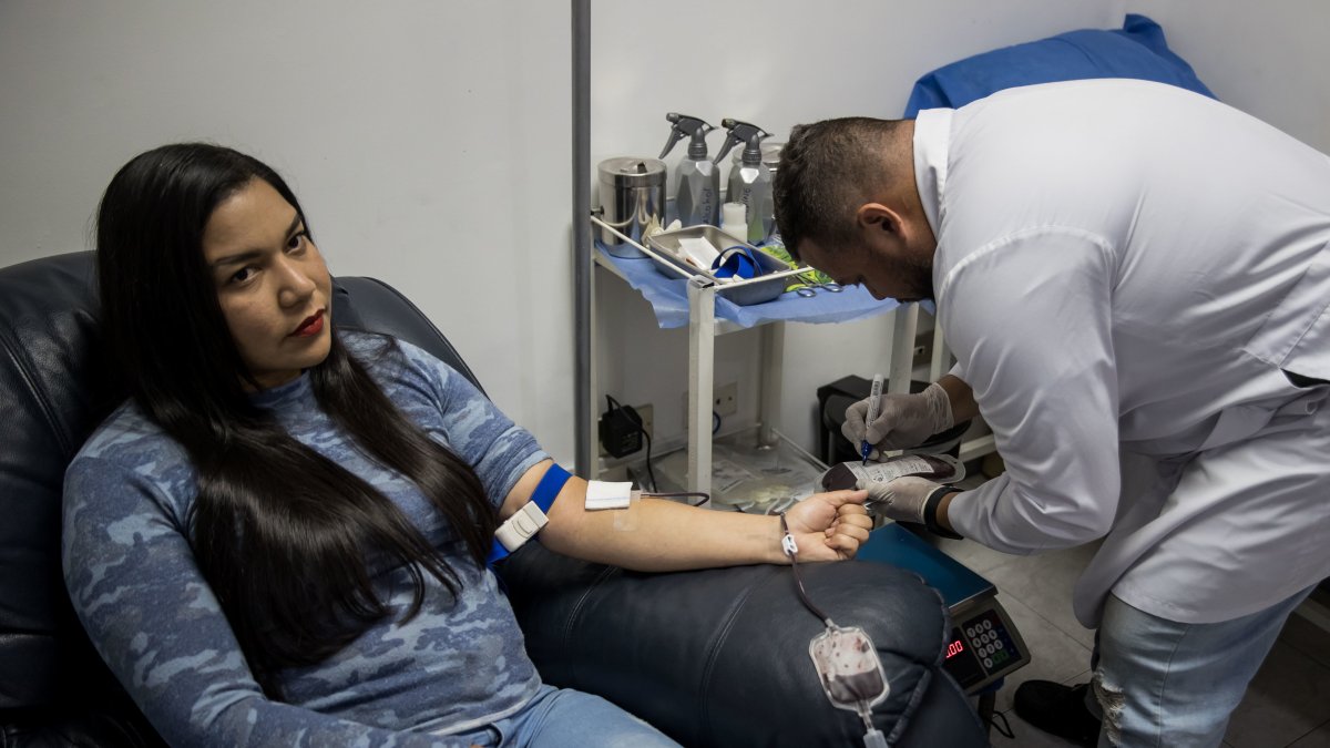 Fotografía que muestra una donante voluntaria en un banco de sangre privado el 13 de junio de 2023, en Caracas (Venezuela). EFE/ Miguel Gutierrez
