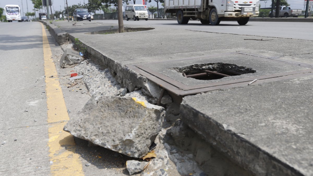 Los parterres de la avenida Narcisa de Jesús se deterioran.