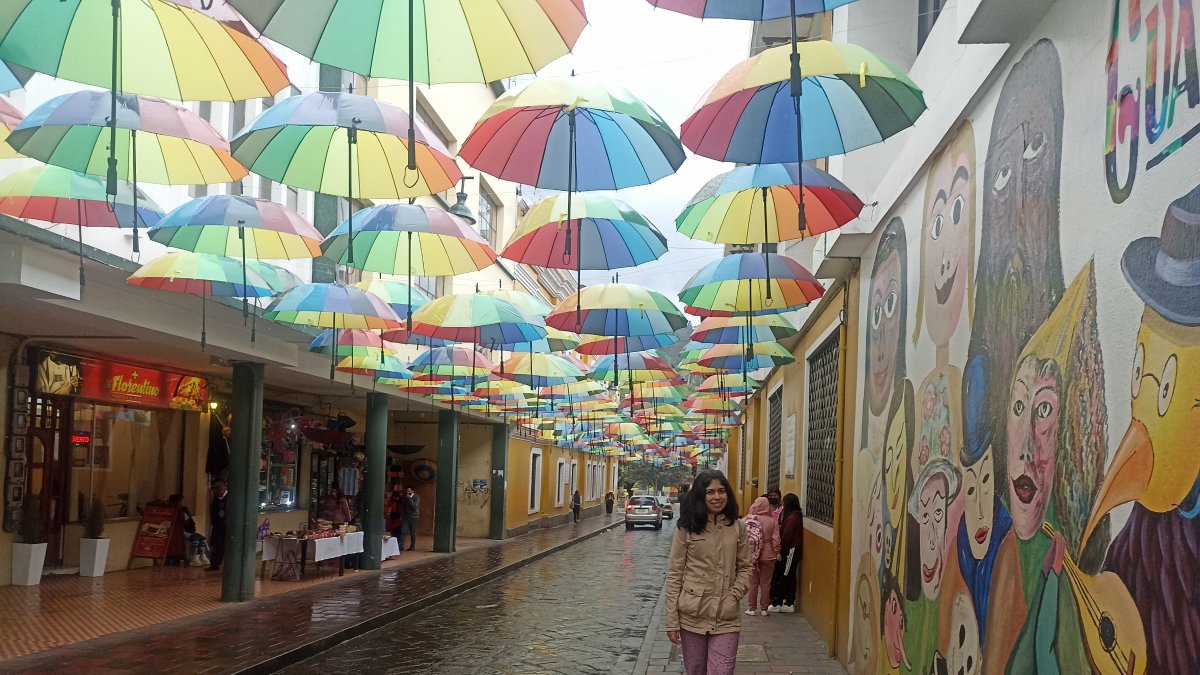 Centro. ‘Ciudad Libro’ se denominó el proyecto que convirtió a la ciudad de las ‘Siete Colinas’ en un mural de cultura y tradiciones.