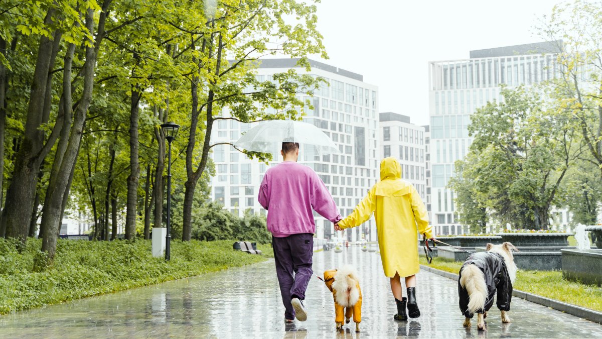 Afectación. Los animales de compañía se adaptan, o no, de manera más fácil a ciertos tipos de clima, esto según su raza.