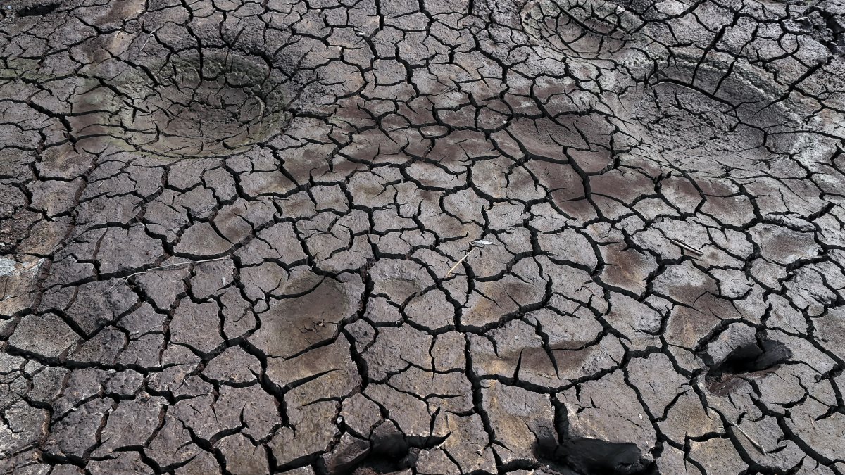 Fotografía de archivo de tierra seca en la represa Los Laureles, que abastece de agua a Tegucigalpa (Honduras). EFE/Gustavo Amador