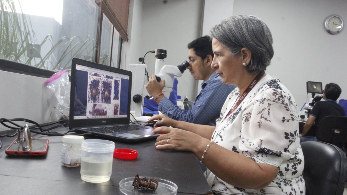 Los especialistas. Los biólogos Mauricio Macías y Natalia Molina fueron los autores de esta investigación científica, de la que también participó y es coautor William Galvis, de Colombia.