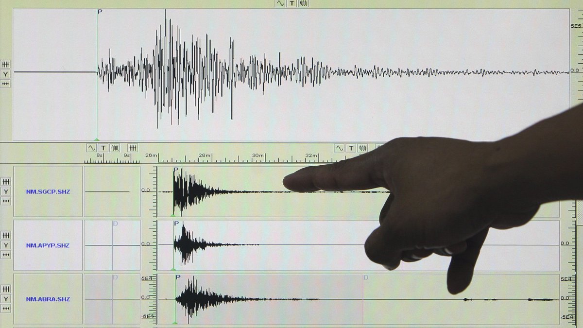 magen de archivo de un sismógrafo en el que aparece registrado un terremoto.