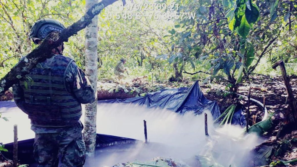 Operativo. En Shushufindi se ocultan lugares de procesamiento de droga en medio de las plantaciones.