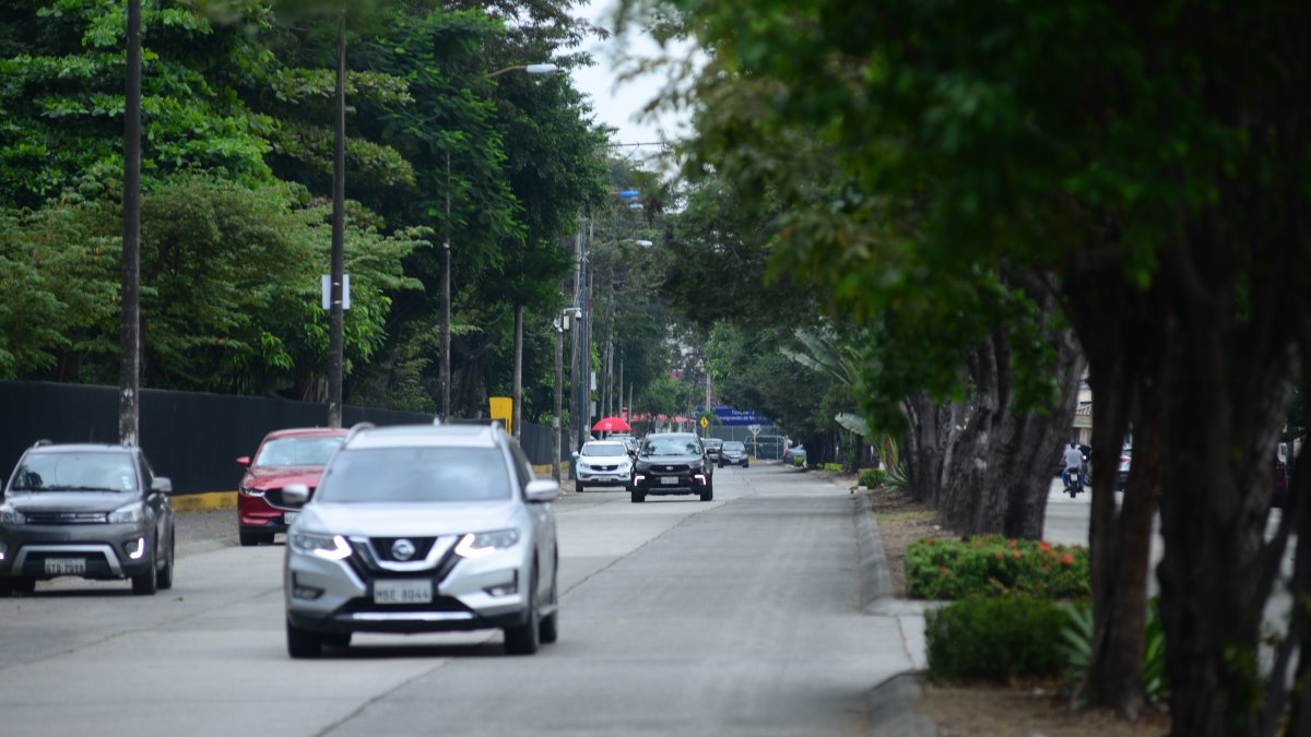 A los carros parqueados en los exteriores del parque lineal de la Kennedy los delincuentes se les sustraen los retrovisores, espejos, entre otros elementos.