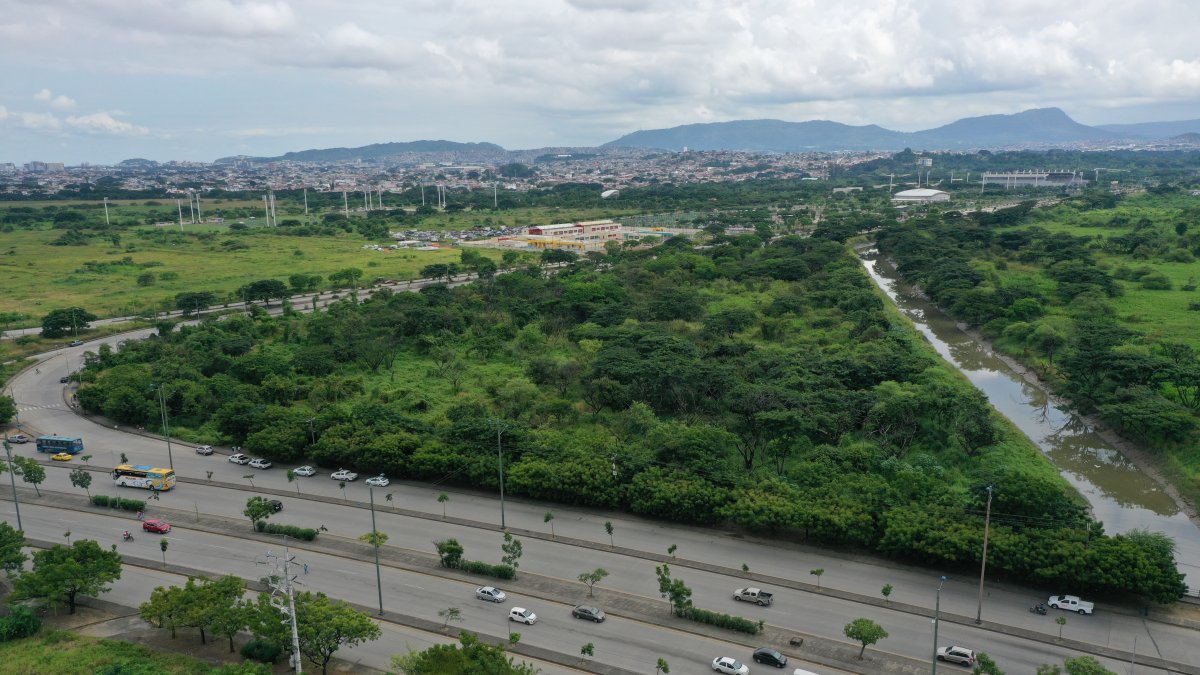 El parque Samanes es una de las áreas verdes que tiene a cargo la Empresa Pública de Parques