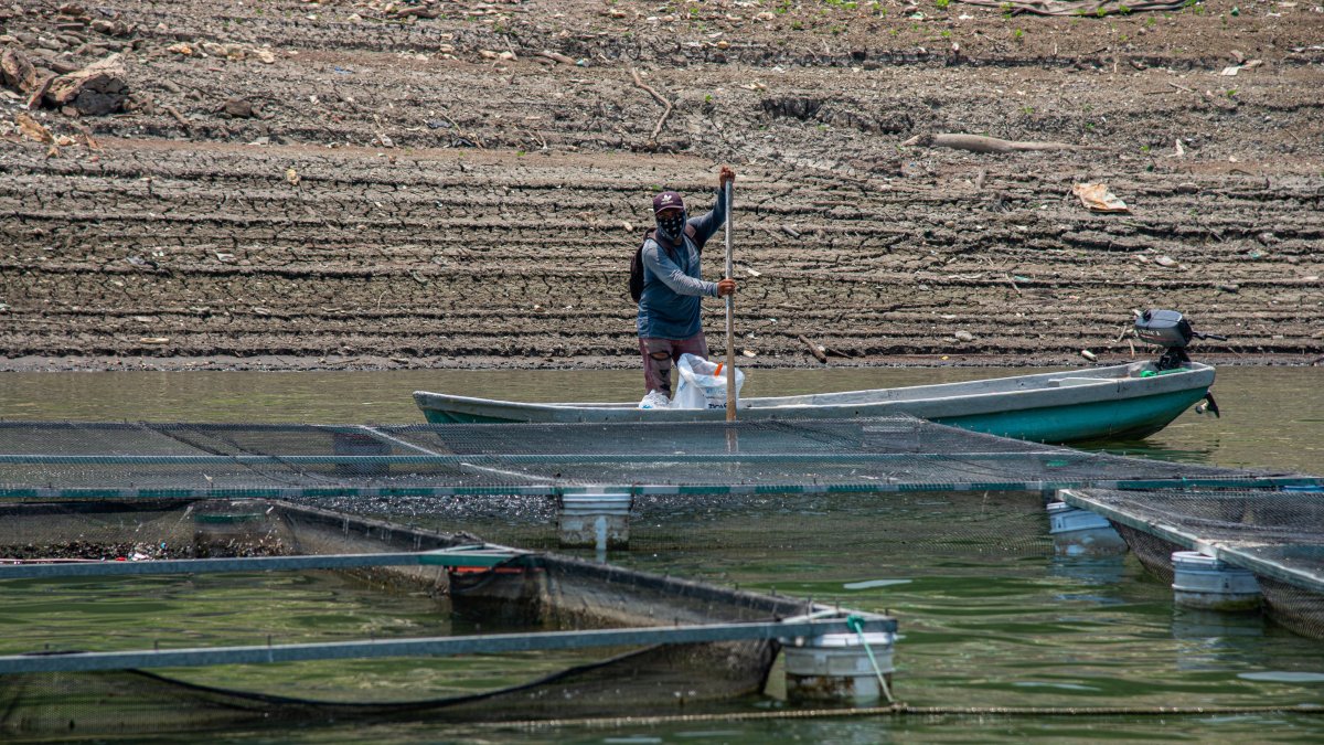 Vista general donde se observa el bajo nivel de agua en la presa Malpaso, el 19 de junio de 2023, en el municipio de Tecpatán, en Chiapas (México).