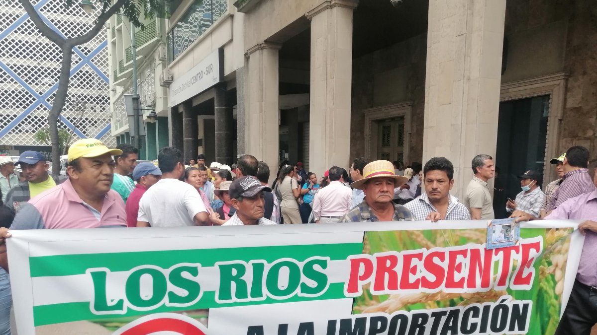 Reacción. Un grupo de agricultores hizo un plantón al pie del edificio de la Prefectura del Guayas.