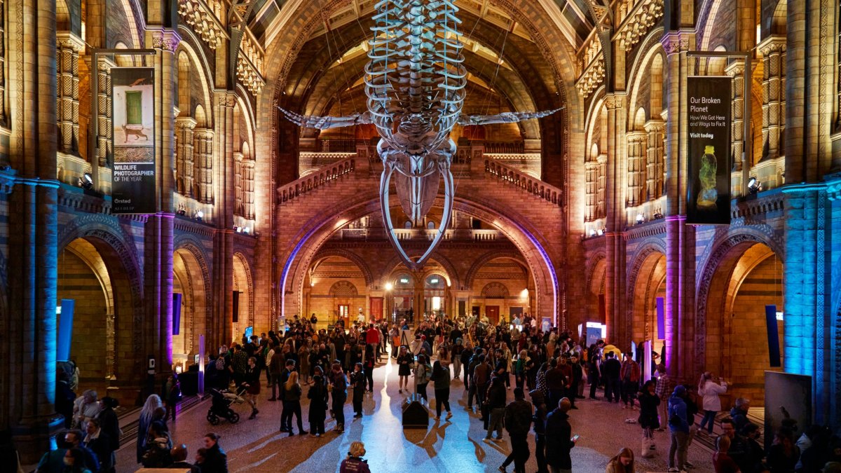 Londres. Una vista de una de las salas del museo local.
