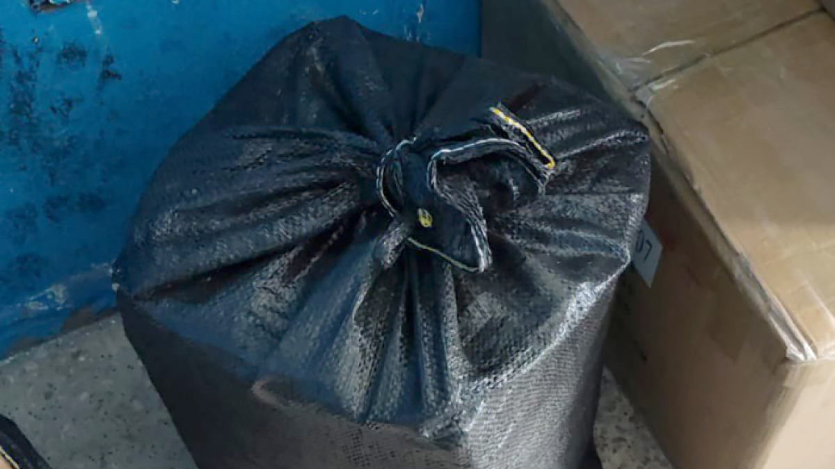 El material estuvo embalado en fundas plásticas como repuestos automotrices.