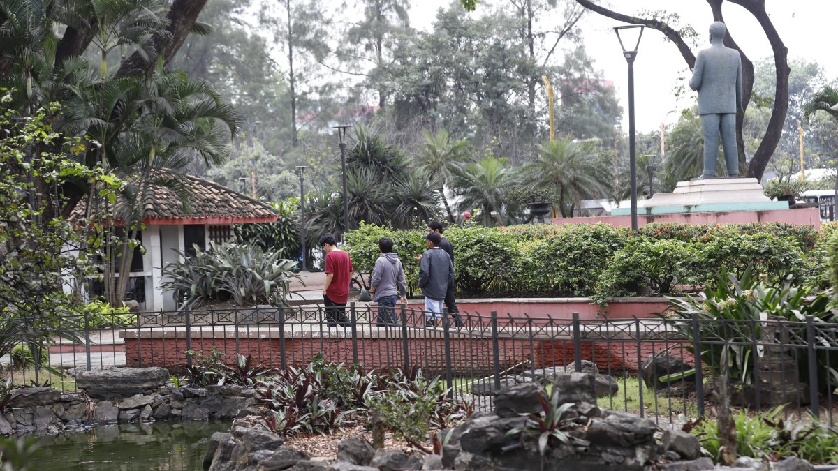 Plantas. A pesar de la fumigación, las plantas dentro y fuera del parque siguen siendo afectadas por la presencia de plagas como la cochinilla y el pulgón.