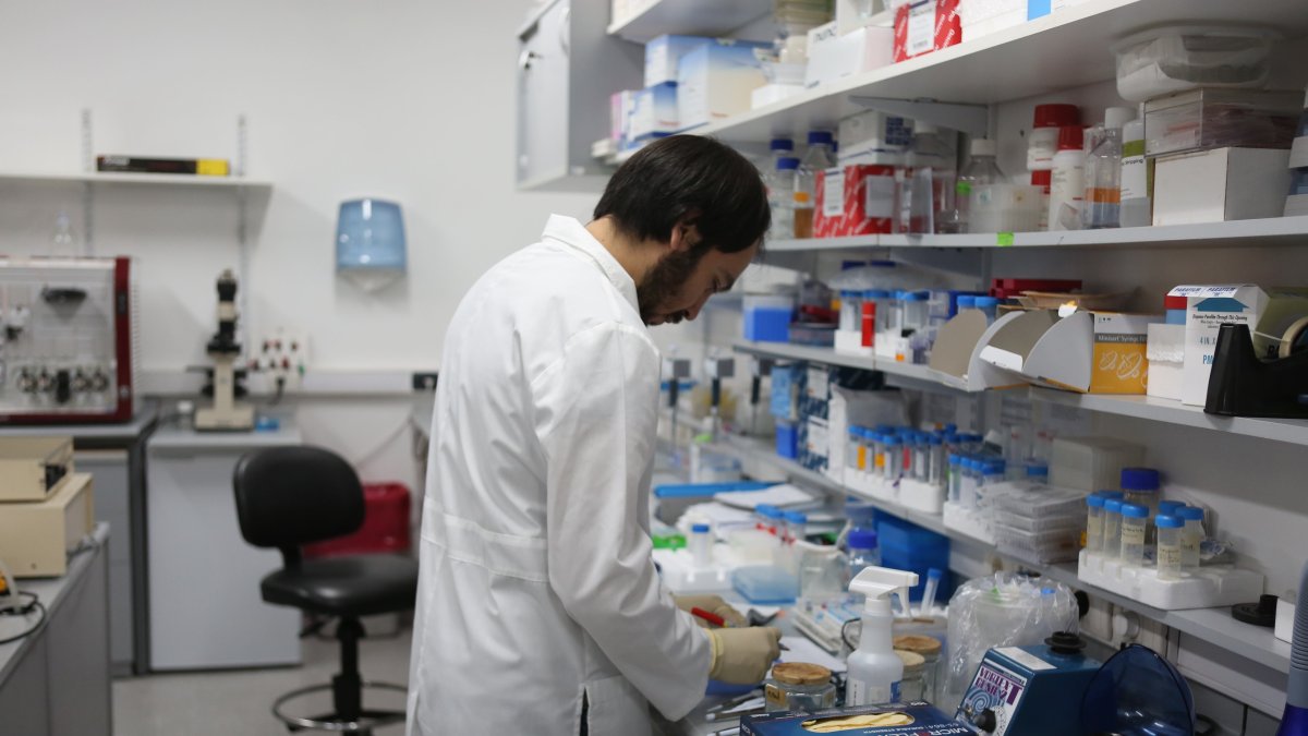 Madrid. Un laboratorista revisa una serie de muestras.