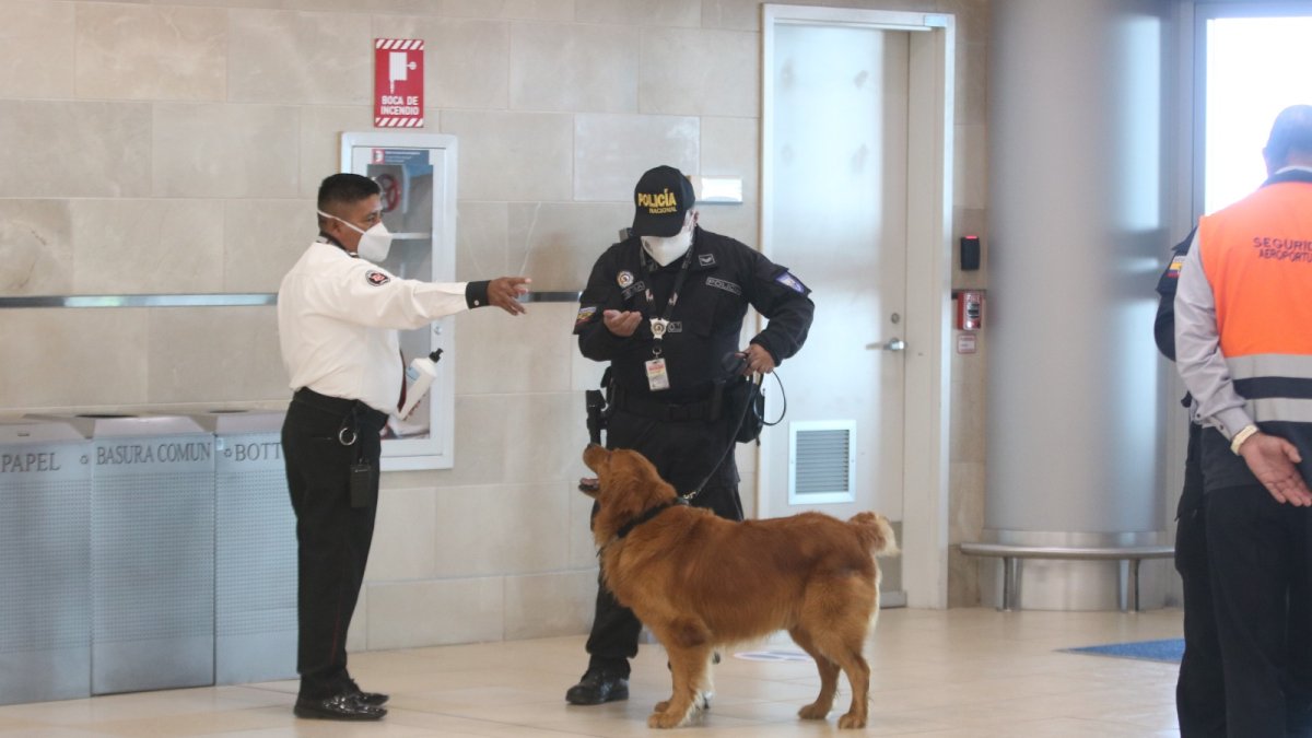 Vuelo. Los agentes de la Policía deben revisar un vuelo proveniente de Países Bajos.