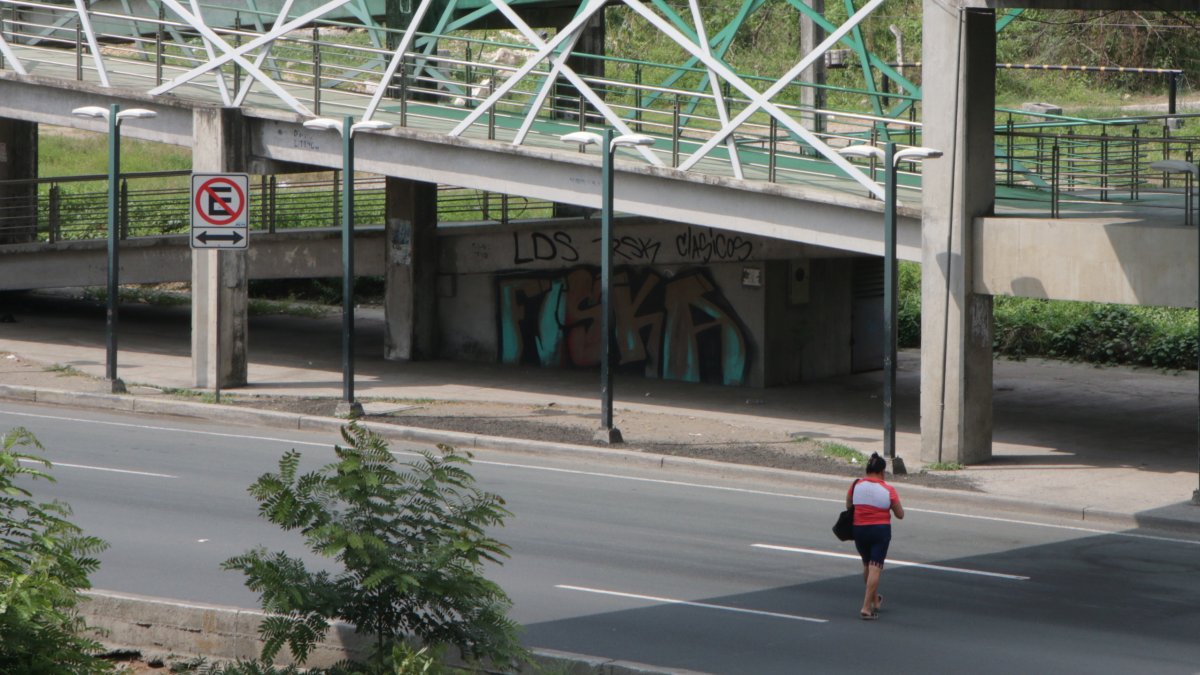Entre las razones de los ciudadanos para no usar los pasos peatonales es la falta de garantías de seguridad en estas estructuras.