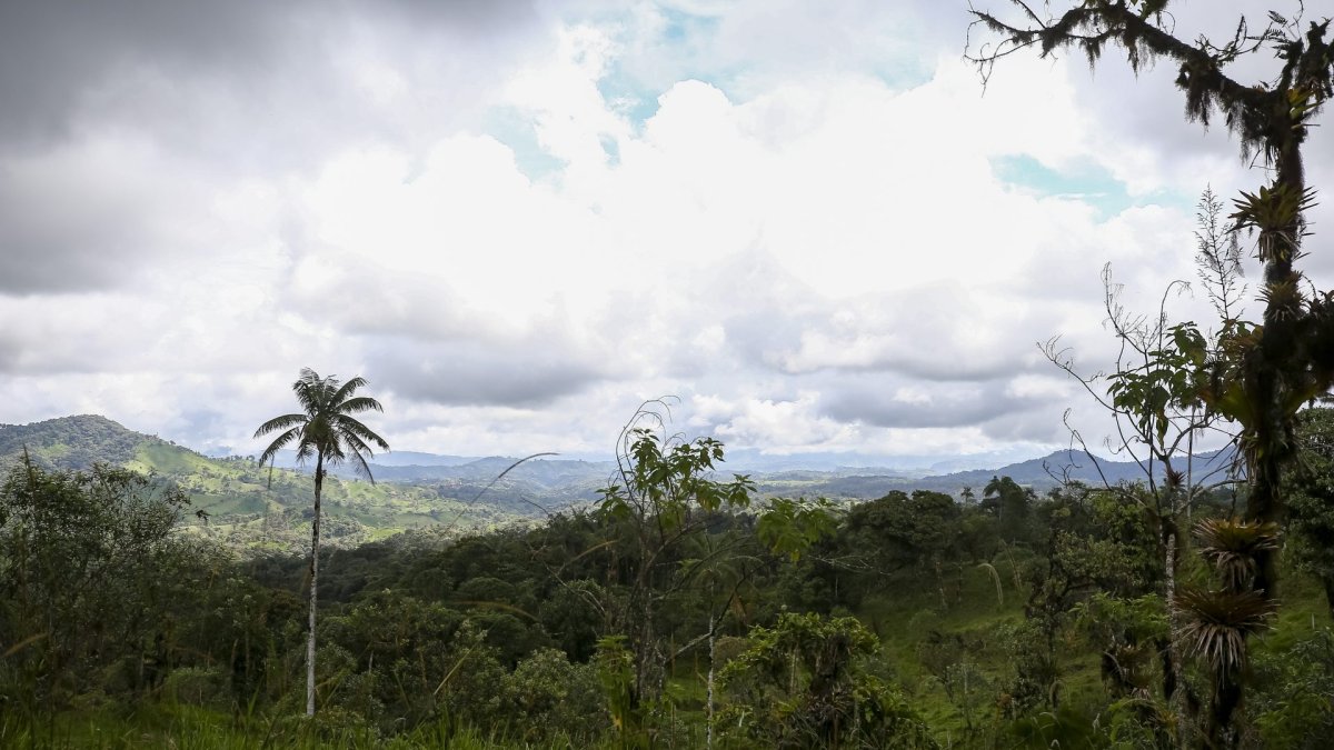 Sector de Nanegalito, parte del Chocó Andino, área metropolitana de Quito.
