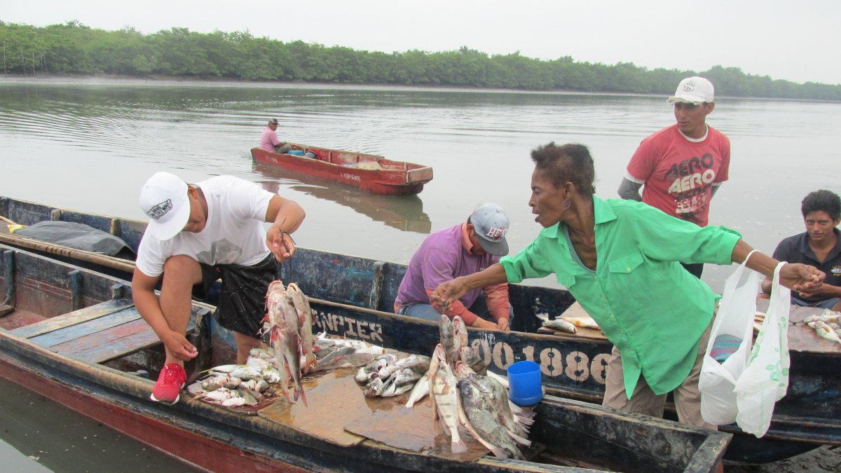 Capturas. Las altas temperaturas ahuyentan a varias especies.