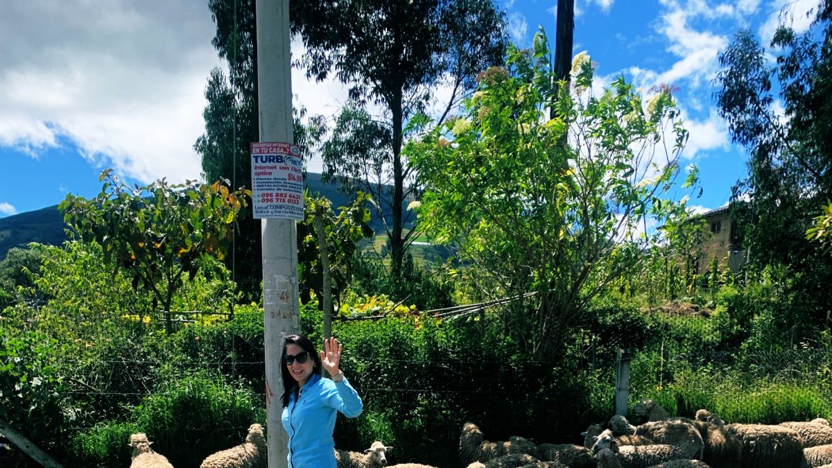 Luisa González introduce en las redes sociales la campaña de los borregos
