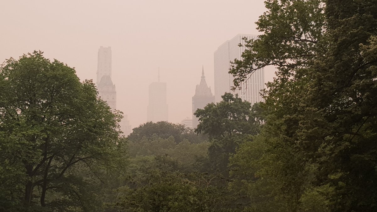 El humo resultante de los incendios forestales canadienses mientras envuelve el famoso Central Park de Nueva York, en una fotografía de archivo. EFE/Jorge Fuentelsaz