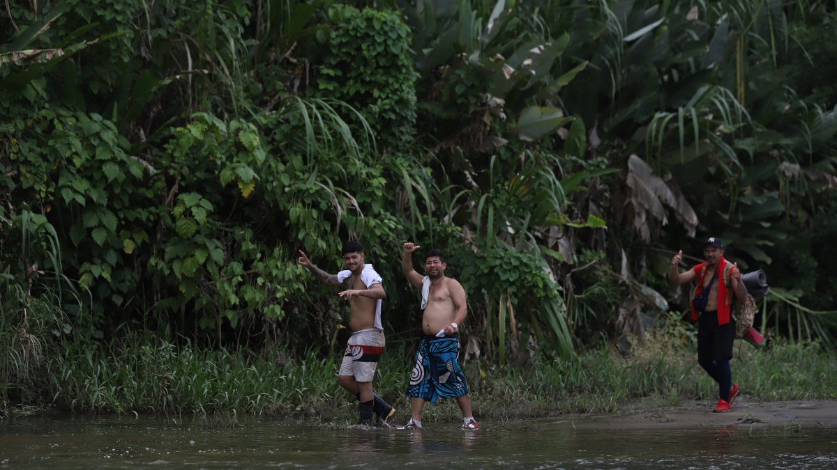 HISTORIAS. Los viajeros suelen detenerse en medio de la selva a descansar y contar sus historias, para luego seguir su ruta y buscar la salida de la selva.