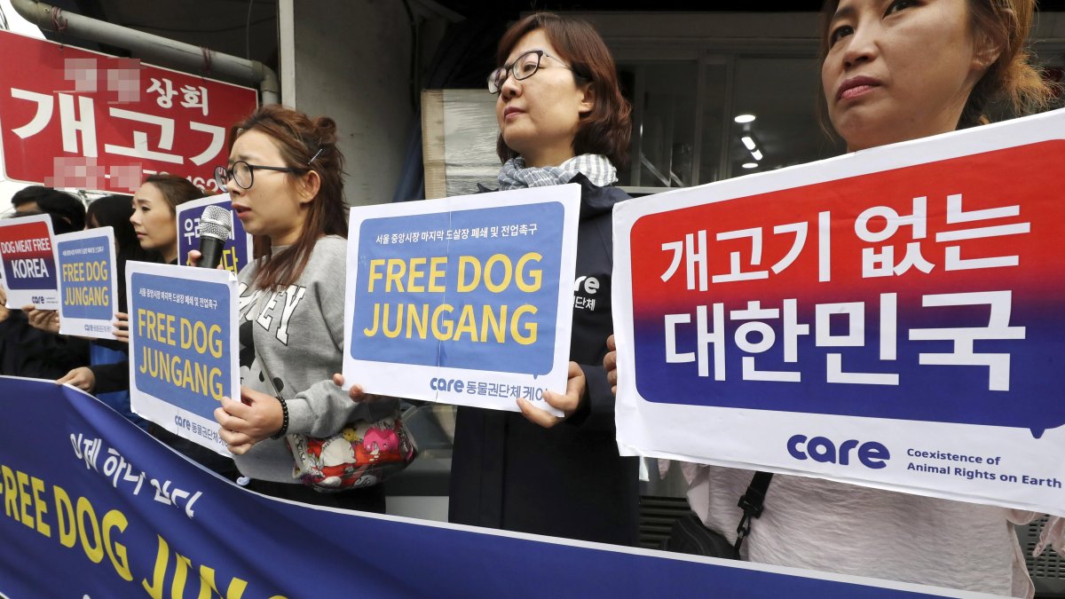 Respaldo. Activistas de movimientos animalistas hacen presencia en apoyo del proyecto de ley.