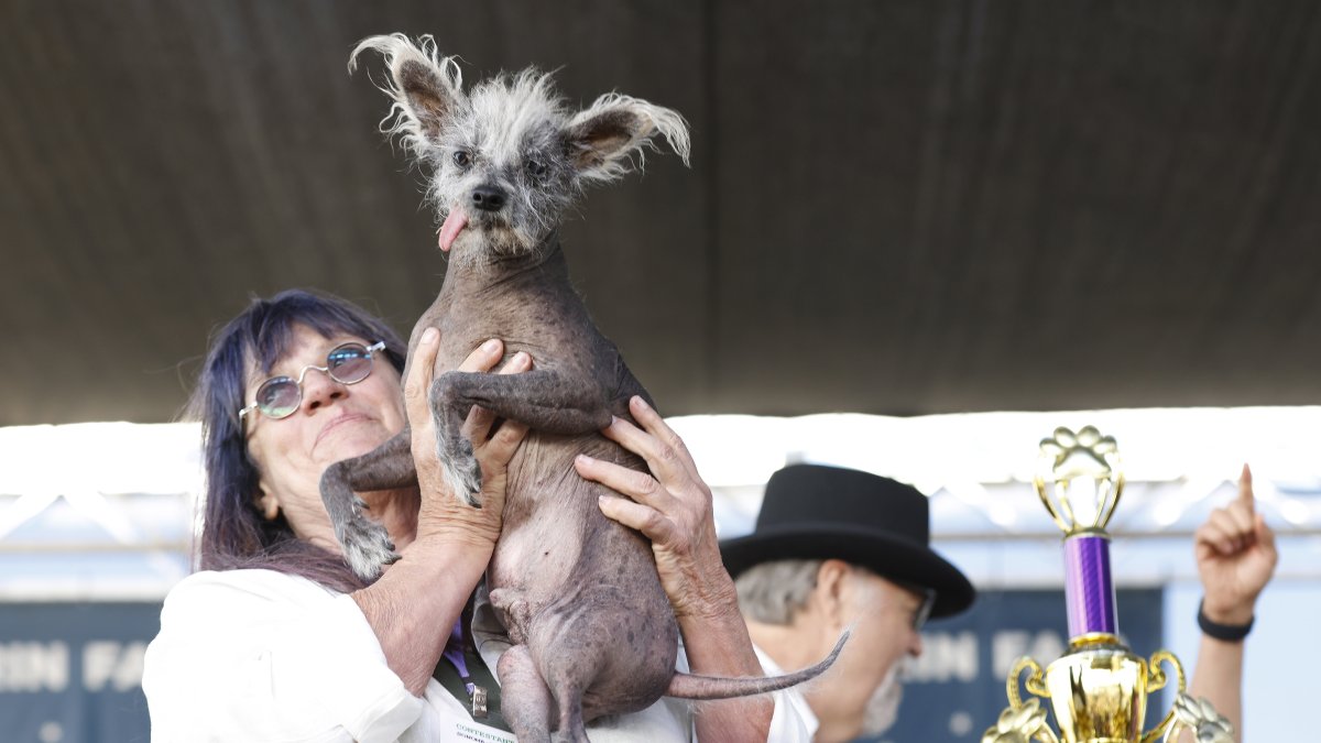 Honores. Scooter en manos de su tutora, tras la designación.